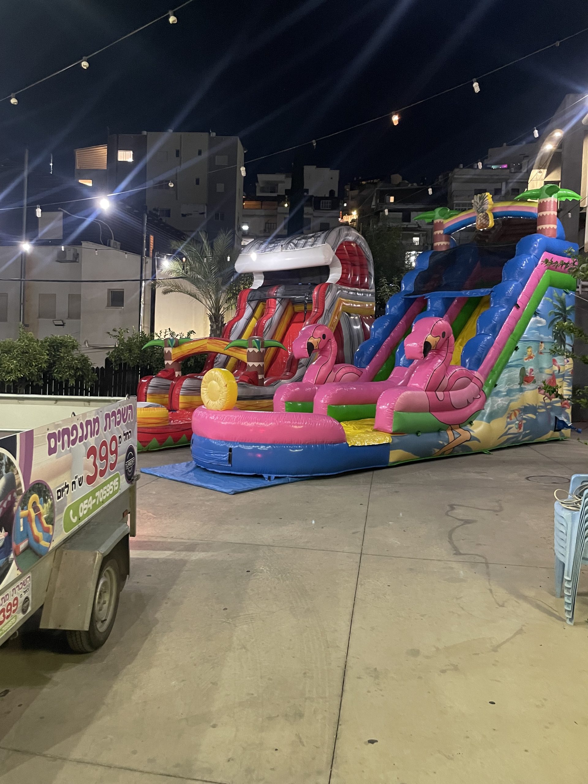 פלמינגו ענק להשכרה – תמונה 3